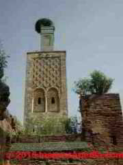 Chimney top blocked by a stork's nest in Rabat, Morocco (C) Daniel Friedman