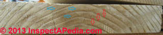 End grain view of flat sawn board (C) Daniel Friedman