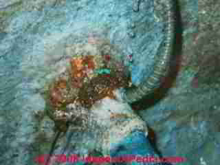 Electrical ground corrosion at water pipe (C) Daniel Friedman