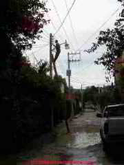 Electrical worker on residential power line (C) Daniel Friedmanh