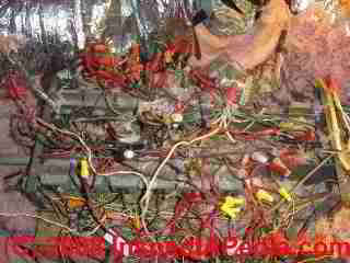 Rats nest of electrical wires - low voltage (C) Daniel Friedman