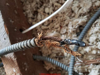 Old armored cable electrical wiring (C) InspectApedia.com Ken Old House Guy