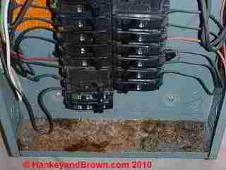 Corrosion in bottom of electric service panel (C) 2010 HankeyandBrown.com