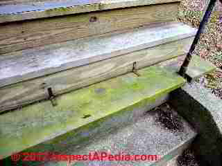 Aglae slip hazard on wood steps (C) Daniel Friedman