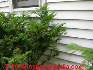 Aluminum siding, narrow gauge, on a 1980's building; shrubs are too close to the wall (C) Daniel Friedman