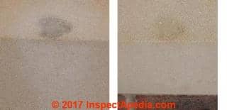 Bird dropping stain removal success at Derby UK (C) InspectApedia TH
