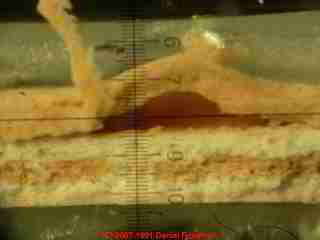 Photo of paint solvent blistering, edge view in laboratory