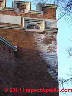 White effloresence stains on an exterior brick wall, Vassar College, Poughkeepsie NY (C) Daniel Friedman