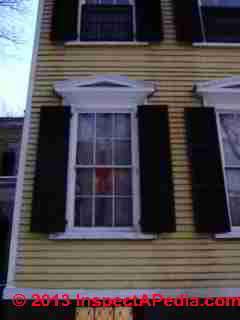 Colonial Style Window design, Clinton Hill Brooklyn (C) Daniel Friedman