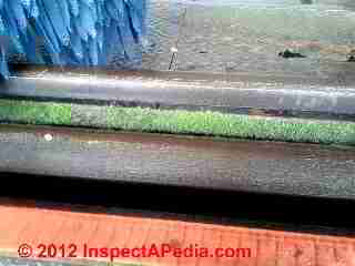 Car wash moss and algae or mold © D Friedman at InspectApedia.com 