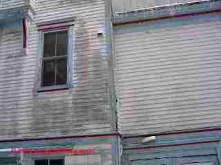 Algae growth on painted wood siding (C) Daniel Friedman