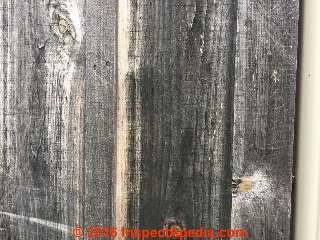 Black stains on cypress board siding, Arkansas (C) InspectApedia RH