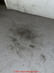 Dark stains on concrete floor - identify & remove (C) InspectApedia.com Joseph