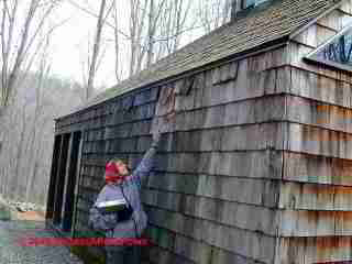 Weathered Cedar Shingles (C) Daniel Friedman