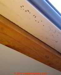 Mold spots on soffit and wood beams (C) InspectApedia.com