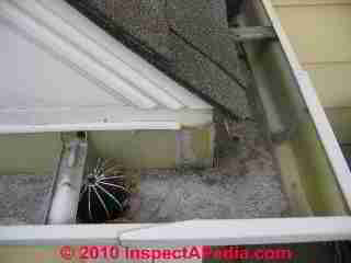 Gutter downspout strainer (C) Daniel Friedman