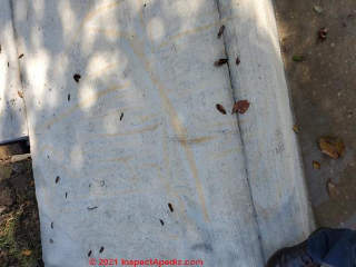 Orange Concrete Stains (C) Inspectapedia Josh
