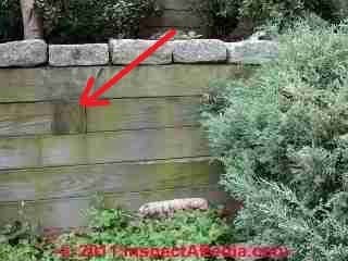 Wooden landscape tie retaining wall © D Friedman at InspectApedia.com 