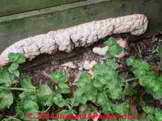 Wooden landscape tie retaining wall © D Friedman at InspectApedia.com 