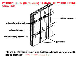 Typical woodpecker damage to wood siding (Cleary 1986) cited & discussed at InspectApedia.com source USDA