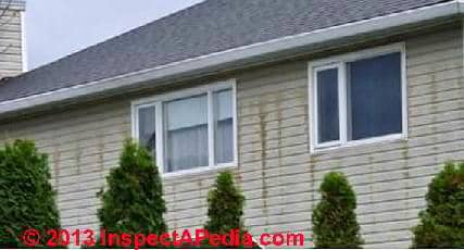 Vertical stains on siding, probably algae (C) InspectApedia  Hugh Cairns RHI British Columbia