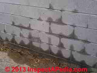 Masonry wall soaked by sprinkler system on other side (C) InspectApedia
