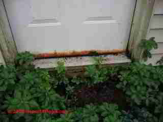 Rusted steel exterior door (C) Daniel Friedman