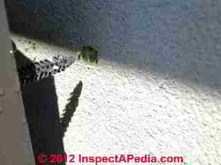 Leak point in EIFS stucco wall (C) Daniel Friedman