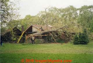 Large oak falls on a home in Poughkeepsie, New York (C) Daniel Friedman Paul Galow