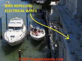 Bird repelling electrical wiring at Palacio Brandolin, Grand Canal Venice Italy (C) Daniel Friedman