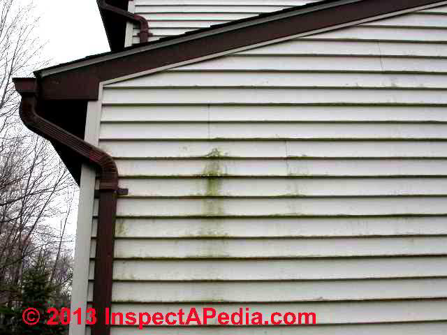 Vinyl Siding with Buildup of Lichen and Dirt Stock Image - Image