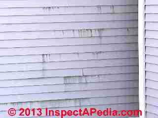 Algae and stains can indicate leaks behind aluminum or vinyl siding © Daniel Friedman