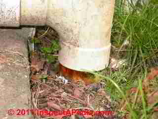 Clogged footing drain (C) Daniel Friedman