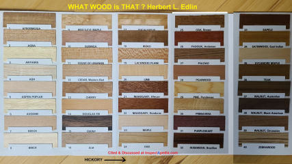Wood identification samples  for 41 common species (C) InspectApedia.com & Herbert Leeson Edlin