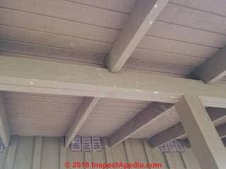 White spots on painted wood under porch roof (C) InspectApedia.com Christina 