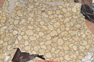 Asbestos in 1950s or 1960s stone or marble pattern sheet flooring (C) InspectApedia.com Marjoire DiRisio Duger