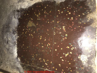 Asbestos in brown speckled terrazo floor tile from 1954 in California (C) InspectApedia.com Jessen