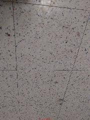 Asbestos likely in 1950s spatter patternb 9x9 floor tiles (C) Inspectapedia.com Maxwell