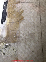 30 cm Marley flooring in the UK may contain asbestos (C) InspectApedia.com Jon