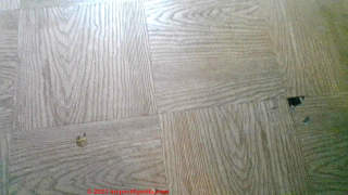 1967 12x12 Arkansas wood grain peel and stick floor tiles (C) InspectApedia.com Susan