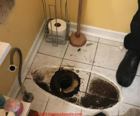 Bathroom leak and repair (C) Inspectapedia Al