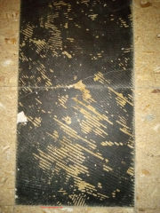 Asbestos floor tile & black mastic adhesive from the 1970s, installed in a home in Puerto Rico (C) InspectApedia.com Ocasio