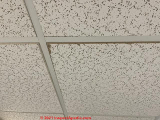 Late 1980s ceiling tile not likely to contain asbestos (C) InspectApedia.com Nate