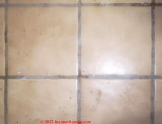 6x6 ceramic tile (C) InspectApedia.com Brian