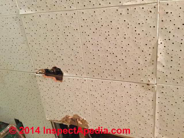Asbestos In Frf Ceiling Tiles Do Frf Ceiling Tiles Contain Asbestos
