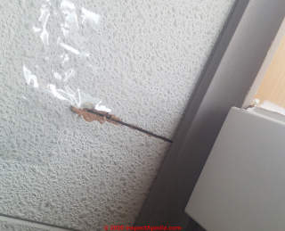 Probably wood-fibre ceiling acoustic tile damage - asbestos worry? (C) InspectApedia.com V.L. 