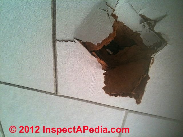 How To Tell If Ceiling Tiles Contain Asbestos Identify Asbestos