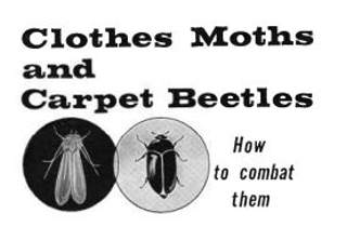 Clothes moth and carpet beetle illustration - USDA 1961 cited & discussed at InspectApedia.com