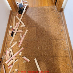 cork flooring (C) InspectApedia.com Nancy