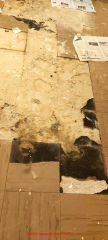 badly damaged asbestos suspect flooring (C) InspectApedia.com Cintia